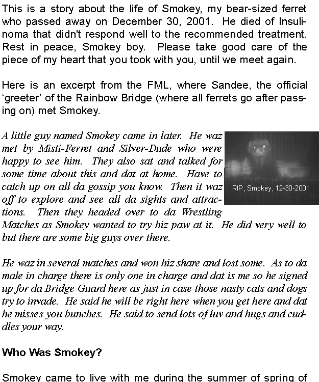 Smokey, the Bear-shaped ferret!